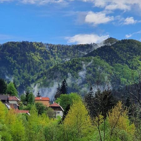 Strada Tiszas Vacation House BaileTusnad Exteriör bild