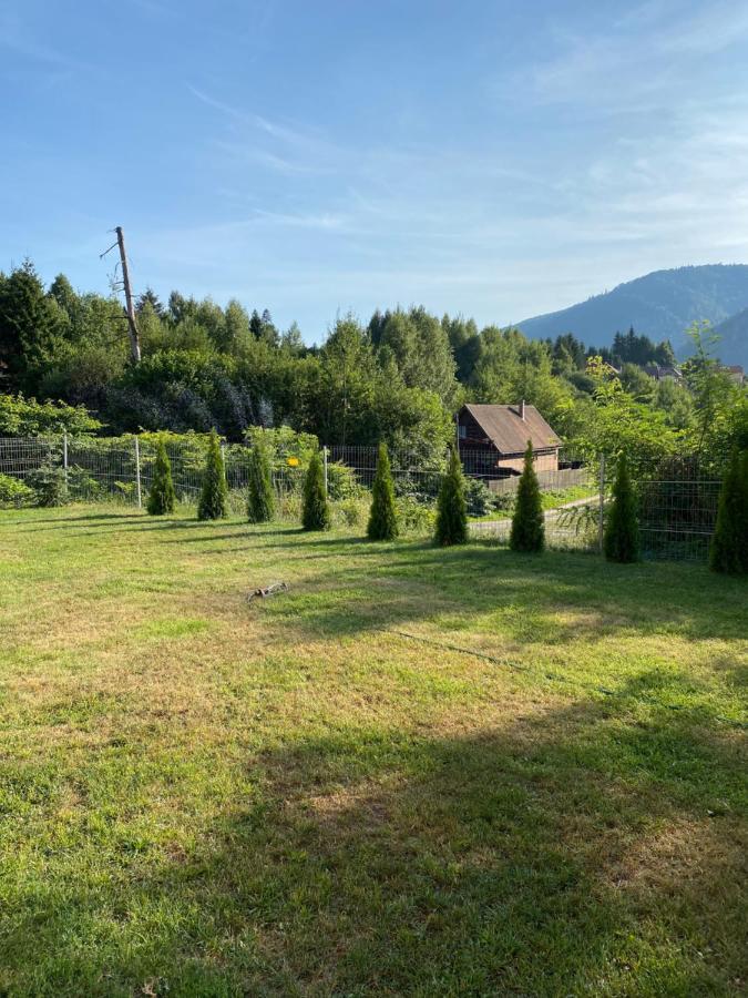 Strada Tiszas Vacation House BaileTusnad Exteriör bild